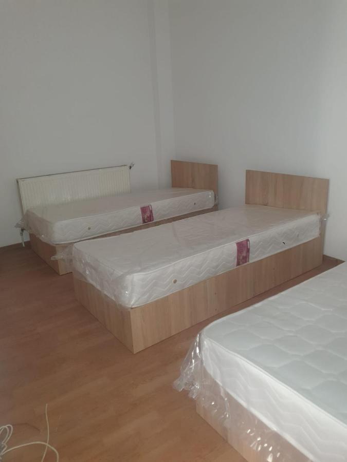 Cazare - Accommodation Bukarest Exteriör bild